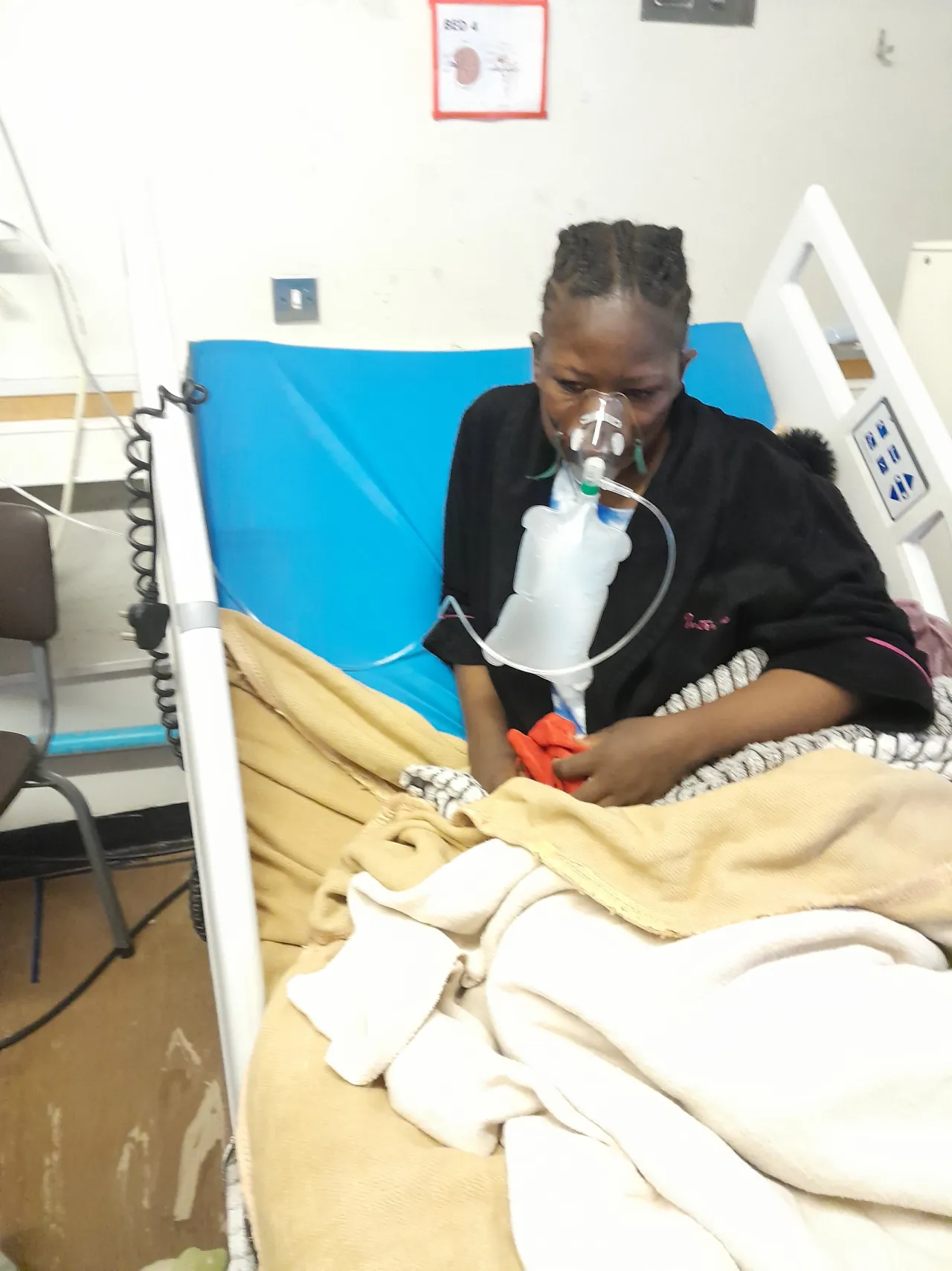 KIDNEY TRANSPLANT FOR PRIMROSE image